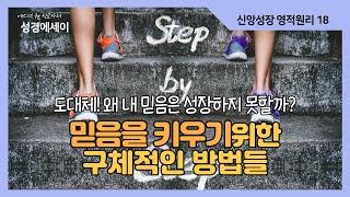 [에스더권 선교사의 성경에세이] 도대체!! 왜 내 믿음은 성장하지 못할까? 믿음을 키우기 위한 구체적인 방법들과 믿음의 성장을 위해 버려할 것들 I (신앙성장 영적원리 18)