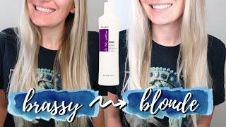 FANOLA NO YELLOW SHAMPOO APPLICATION AND REVIEW | honest results, toning hair at home