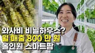 와사비 종주국 일본에도 없는 100평 스마트팜에서 2억 버는 방법