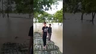 afaf