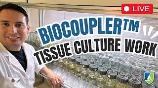 LIVE Plant Tissue Culture Biocoupler™ Liquid Culture Subculturing with Francisco