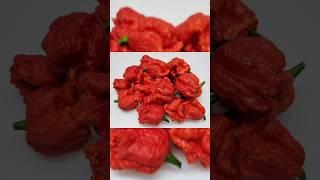 Dragon's Breath Chili ️️ #shorts #chili #viral