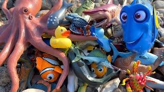 River Adventure!  Discover Amazing Sea Animal Toys for Kids!