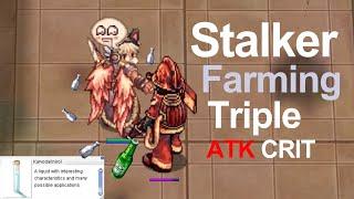 Ragnarok Classic GGT │ Stalker Triple ATK CRI │ Road to 100 M Zeny | EP.5