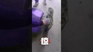 玩翡翠原石，做人做事都一样有的时候要坚持做自己 #翡翠赌石 #古玉收藏 #帝王紫翡翠 #jade #翡翠加工 #crystals #翡翠直播 #帝王绿翡翠 #gemstone