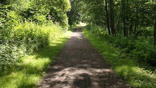 Walking Industrial History; Celebration and Tragedy. The opening of the Alston Railway