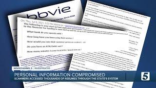 Scammers steal job seekers' personal info using TN state job site