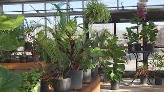 Community Gardens Home & Garden Show in Bastrop | FOX 7 Austin