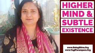 Higher Mind - Universal Wisdom | Cosmic Wisdom - Vigyanamaya Kosha