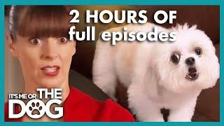 2 HOURS of the Greatest Full Episodes of all time! | It's Me or The Dog