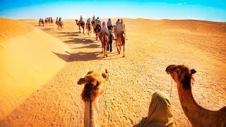 Camel Safari with Dinner and Emirati Activities in Dubai, UAE