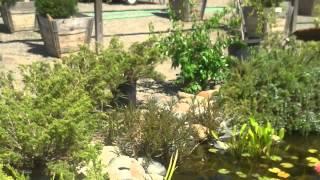 Sweet Pea's Nursery 891 Alamo Dr Vacaville Ca 95688 Leslie Smith / Jazz Smith tour