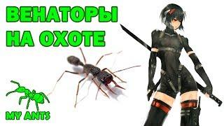 Охота Венаторов (Harpegnathos venator)