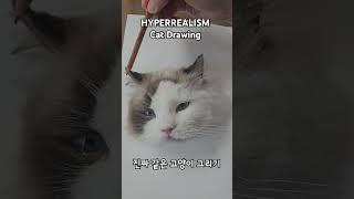 HYPERREALISM Cat Drawing_진짜 같은 고양이 그리기