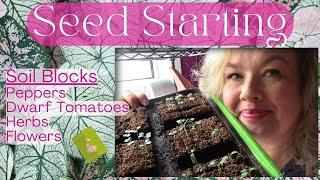 Seed Starting: Tomatoes, Peppers, Herbs & Flowers!