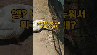 이런 황당한 일도 일어나네