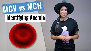 How to Identify Anemia? | MCV vs. MCH | NCLEX Review | Christina NP