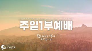 [2024.11.17_주일설교] 박지웅 담임목사"완성된 자의 모습 - 감사"(골 1:9-12)