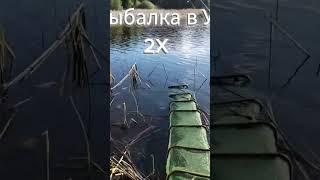 Полное видео есть на канале!!!(1 часть) #рыбалка #fishing #залив #спиннинг #спиннингист