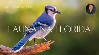 COMO É A FAUNA NA FLÓRIDA CENTRAL?