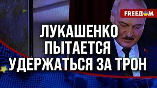 ️ Когда МУС выдаст ордер НА АРЕСТ Лукашенко? Досрочные ВЫБОРЫ в Беларуси