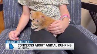 Valdosta residents concerned about animal dumping as shelters are overwhelmed