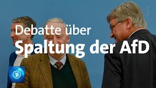 Kritik an Vorstoß von AfD-Parteichef Meuthen