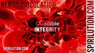 (Deep Healing Music) Blood Circulation, Purification & Cleansing Formula(Binaural Beats Frequency)