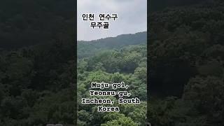 인천 연수구  무주골Muju-gol, Yeonsu-gu, Incheon, South Korea