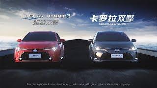 New Corolla and Levin Guangzhou Motor Show reveal video