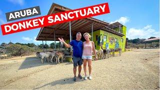 Visiting the ARUBA Donkey Sanctuary