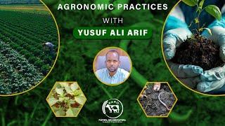 Agronomic Practices