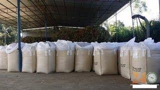 Filling and packing of silage in Jumbo bag