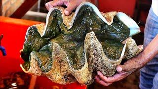 GIANT ALIEN CLAM SASHIMI Street Food Seafood