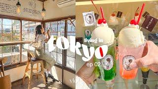 tokyo vlog  | good coffee & pudding, trip to nikko, kawaii treats in asakusa, autumn leaves