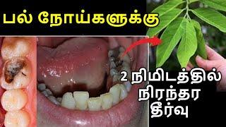 பல் நோய்களுக்கு 2 நிமிடத்தில் நிரந்தர தீர்வு || Natural Remedies For Mouth Odor teeth problems