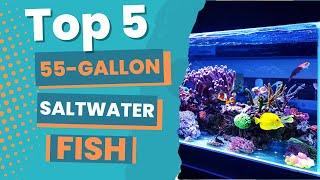 Top 5 Stunning Saltwater Fish for Your 55 Gallon Tank! You Won't Believe #2