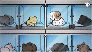 The Real Story Behind a New Kind of Pet Shop called 'Pet Shelter'