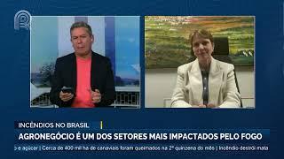 Incêndios no Brasil: agronegócio é um dos setores mais impactados pelo fogo