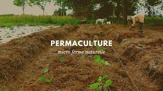 Ferme en permaculture - Création d'un potager sur sol vivant