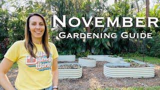 November Garden Guide: The Ultimate Guide to Florida Gardening