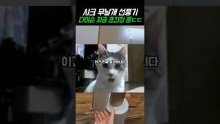 지금 해외에서 난리난 다이슨보다 좋은 샤크 무날개 선풍기 추천 #샤크선풍기 #무소음선풍기
