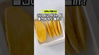 아기 망고 먹이는법