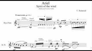 U. Raimondi: Ariel - Spirit of the wind (2020)