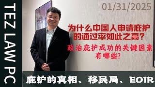 政治庇护成功的关键因素有哪些？ I 为什么中国人的政治庇护通过率最高？I 政治庇护中的“迫害”和“恐惧” I 政治庇护中真实的政治观点和认定的政治观点