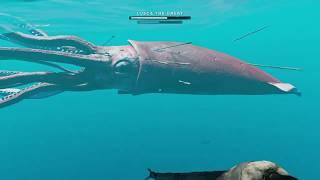 GIANT SQUID BOSS FIGHT | Stranded Deep (PS4) Easy Strategy