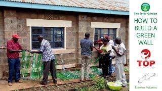 How to build a Green Wall - Vertical Food Garden