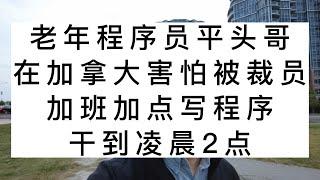 老年程序员平头哥，在加拿大害怕被裁员，加班加点写程序，干到凌晨2点