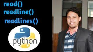 Python read() readline() readlines() Function