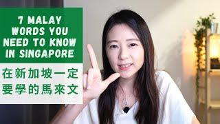 在新加坡常用的馬來文｜啊啦罵是我的天｜7 Malay words you need to know in Singapore｜Alamak｜Angel Hsu 安琪兒